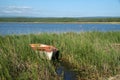 Lonely old boat in the reeds of a lake Royalty Free Stock Photo