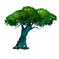 Lonely old deciduous tree isolated on white background. Vector cartoon close-up illustration. Royalty Free Stock Photo