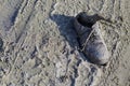 Old shoe on the beach Royalty Free Stock Photo