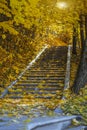 Lonely old stone stairway in empty autumn park under leaves, fall forest. Concept of seasons, nostalgia, paths Royalty Free Stock Photo