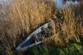 Lonely old wooden fishing boat on autumn lake coast Royalty Free Stock Photo