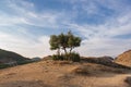 Lonely olive tree on top of a mountain against a blue sky with clouds. Beautiful landscape in Meteora, Greece Royalty Free Stock Photo