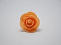 Lonely orange rose on a white background