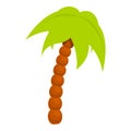 Lonely palm tree icon, cartoon style