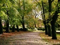 Lonely park in Autumn park