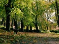 Lonely park bench in Autumn park