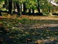 Lonely park bench in Autumn park