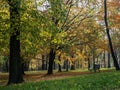 Lonely park bench on the background of autumn leaves Royalty Free Stock Photo