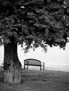 Lonely park bench in black and white Royalty Free Stock Photo