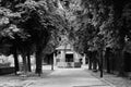 Lonely park in a town of soria