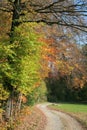 Lonely path in autumn