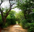A lonely path, Khushab Pakistan Royalty Free Stock Photo