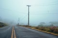 Lonely paved road with fields in a foggy day Royalty Free Stock Photo