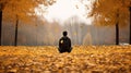 A lonely person sitting on the ground with autumn leaves in the park