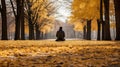 A lonely person sitting on the ground with autumn leaves in the park