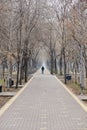 lonely person walking on empty city alley. urban landscape