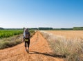 Lonely Pilgrim with backpack walking the Camino de Santiago in Spain, Way of St James Royalty Free Stock Photo