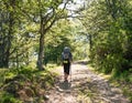 Lonely Pilgrim with backpack walking the Camino de Santiago in Spain, Way of St James