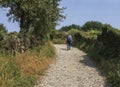 A lonely pilgrim walking in the galician countryside along the Camino de Santiago, Spain.