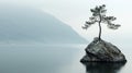 Lonely pine tree on cliff top on lake background, scenic view of mountains in summer, amazing landscape with misty rock and water