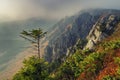 Lonely pine tree on the mountain cliff Royalty Free Stock Photo