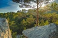 Lonely pine tree on the mountain Sun rays through the pine tree Royalty Free Stock Photo