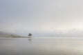 Lonely pine tree reflection on the lake at dawn part 4 Royalty Free Stock Photo