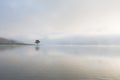 Lonely pine tree reflection on the lake at dawn part 2 Royalty Free Stock Photo