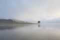 Lonely pine tree reflection on the lake at dawn part 3 Royalty Free Stock Photo