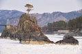 Lonely Pine tree on rock on Altai river Katun in winter. Rocks called Dragon\'s teeth, Dragon crest, or Sartakpai Arrows Royalty Free Stock Photo