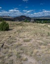 Woodpecker Hill in Greenwood Cemetery Royalty Free Stock Photo