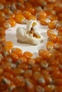 The lonely popcorn Royalty Free Stock Photo
