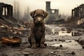 Lonely puppy exploring the eerie streets of a deserted city at night with a sense of curiosity Royalty Free Stock Photo