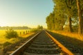 Lonely railroad track in the morning play of colors