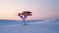 Lonely Red Cypress In Snowfield: Yuki Katsura Style Landscape Photography