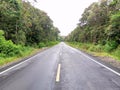 lonely road that cut through the forest