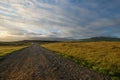 Lonely road - DyrhÃÂ³laey in the south region of Iceland