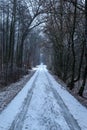 Lonely road in the forest Royalty Free Stock Photo