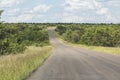 Lonely road inside Kruger Nationalpark, South Africa