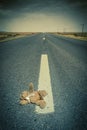 lonely road and teddy bear Royalty Free Stock Photo