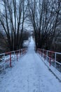 Lonely road wtih railing in the forest