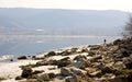 Lonely Rybak in the early spring morning stands on the bank of the rocky Royalty Free Stock Photo