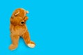 Lonely sad teddy bear on blue background Royalty Free Stock Photo