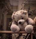 Lonely sad teddy bear toy sitting in derelict shop window