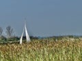 A lonely sail in the Norfolk Fens