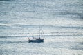 Lonely sailboat in the open sea