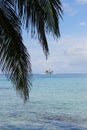 Lonely San Blas Island with palm trees in Panama Royalty Free Stock Photo