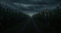 Lonely Scarecrow in a Dark Cornfield During a Storm Royalty Free Stock Photo