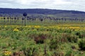 Palmares de Rocha, Rocha, Uruguay