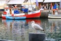 Lonely seagull looking in harbor of Rostock-WarnemÃÂ¼nde